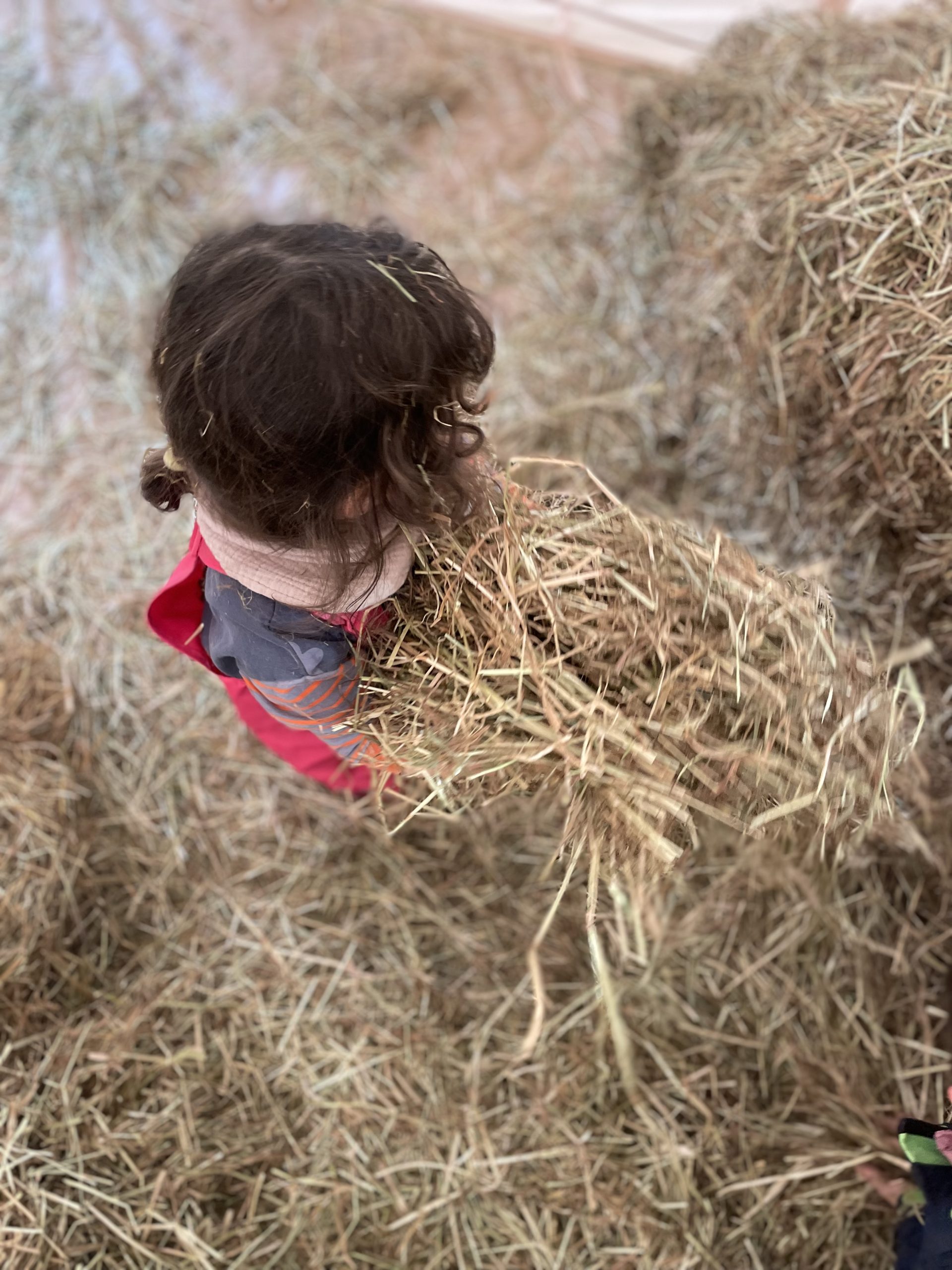 Kursimpression – Gemeinsam aktiv