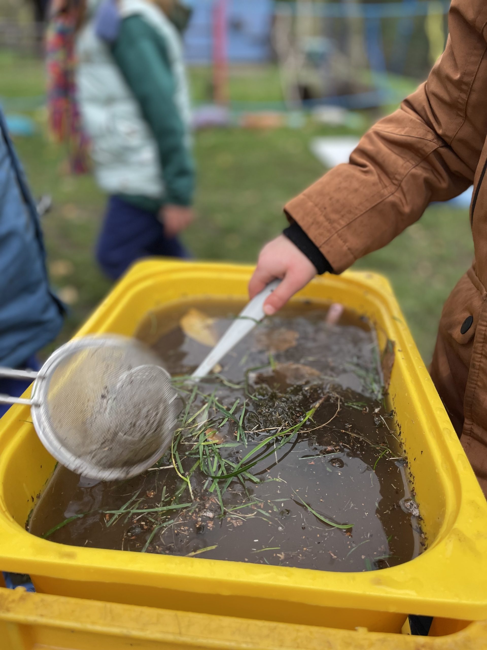 Bewegung und Spiel im Grünen