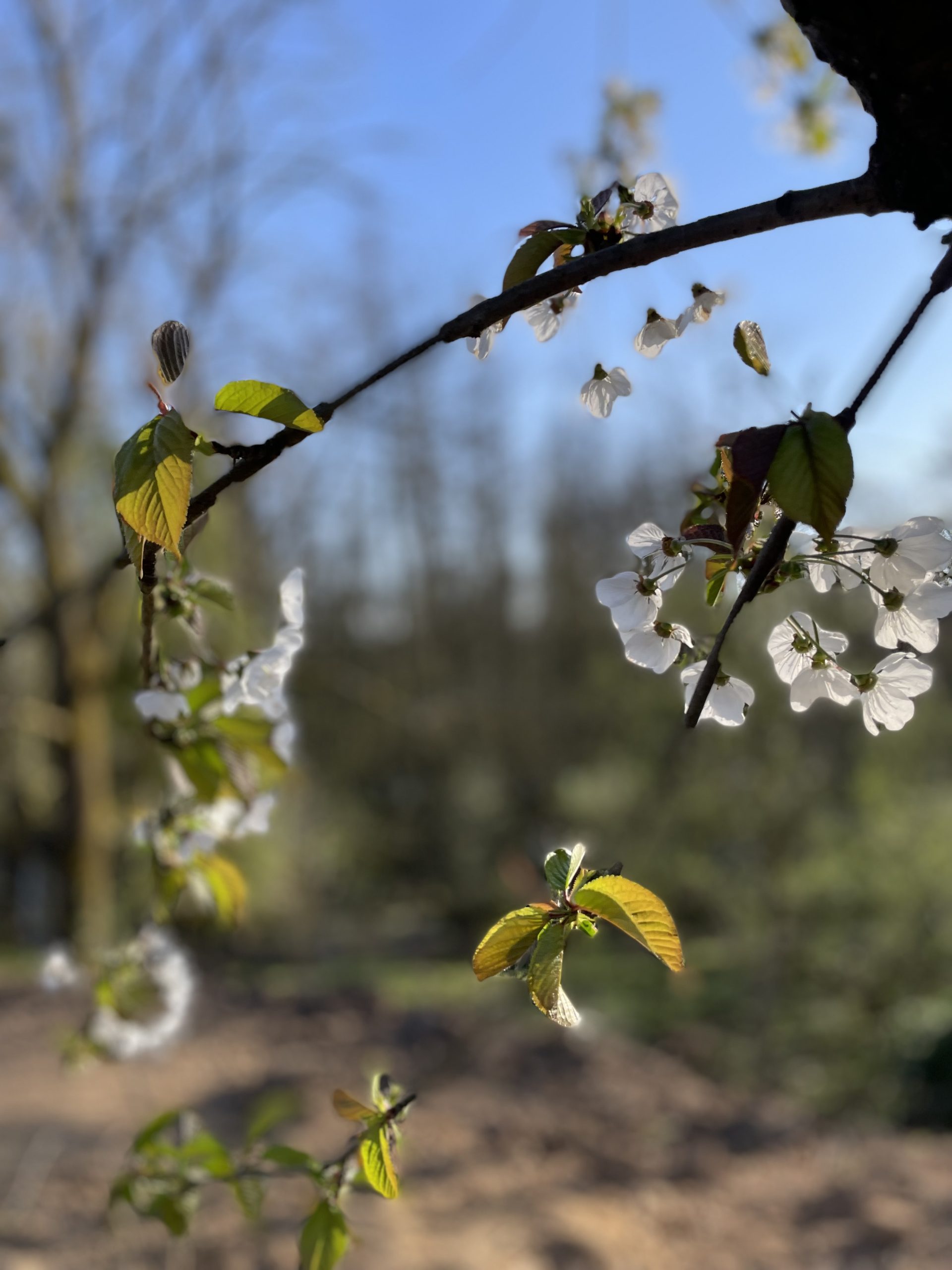 Spiel und Spaß in der Natur