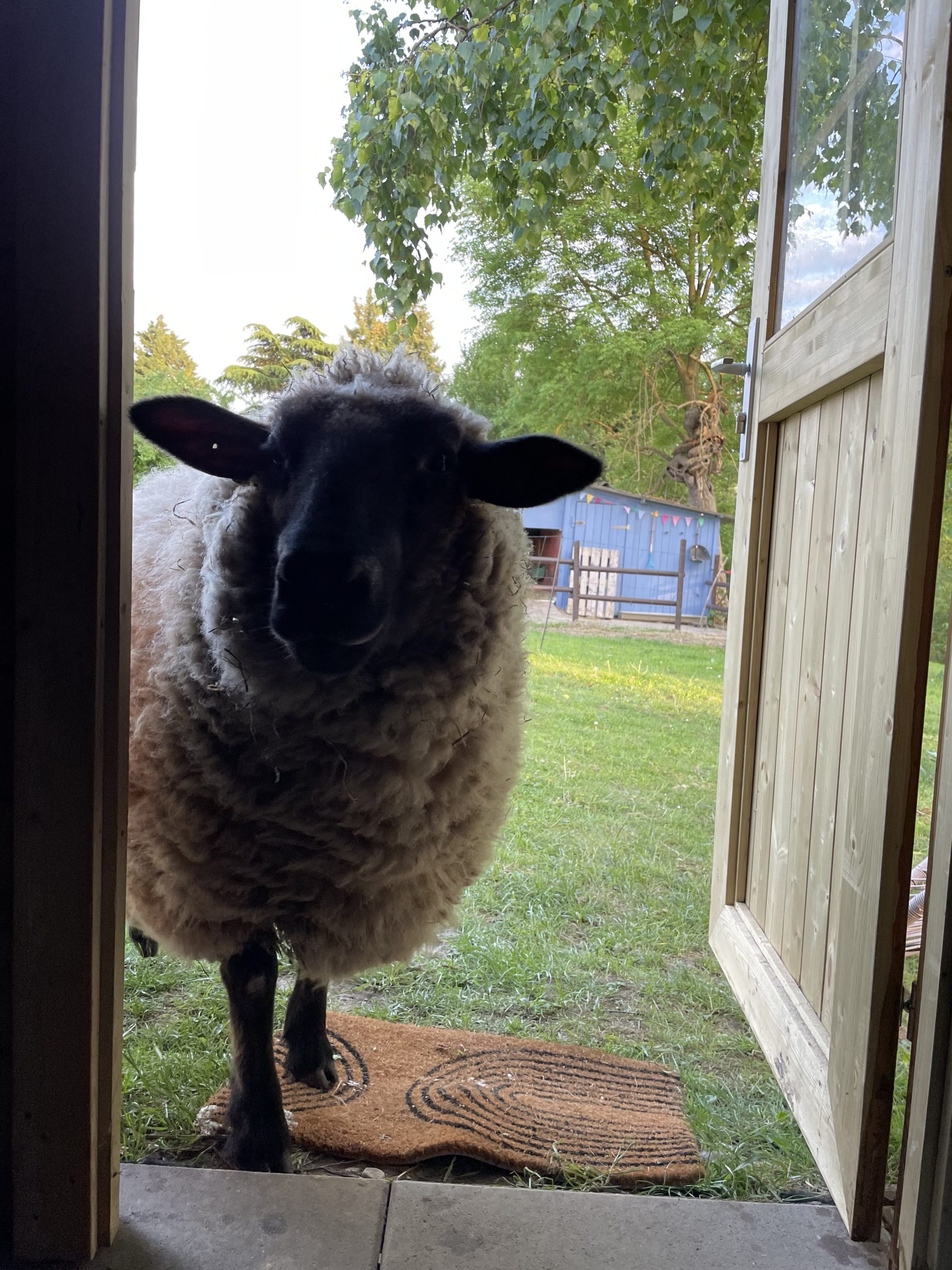 Bewegungsangebote im Freien