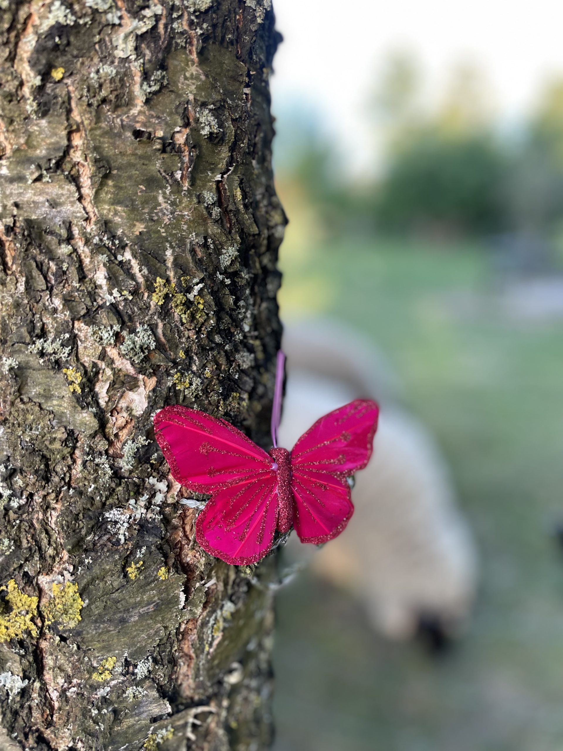 Gelände des Jägerhofs