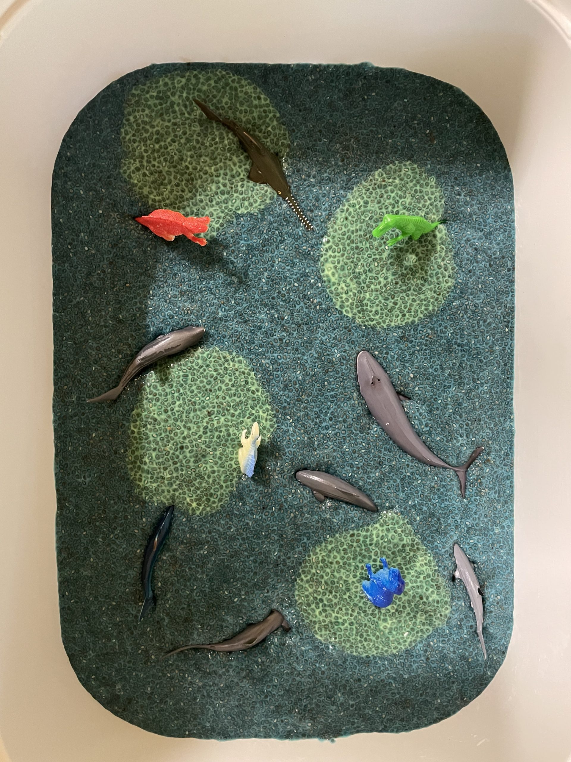 Kinder spielen in der Natur