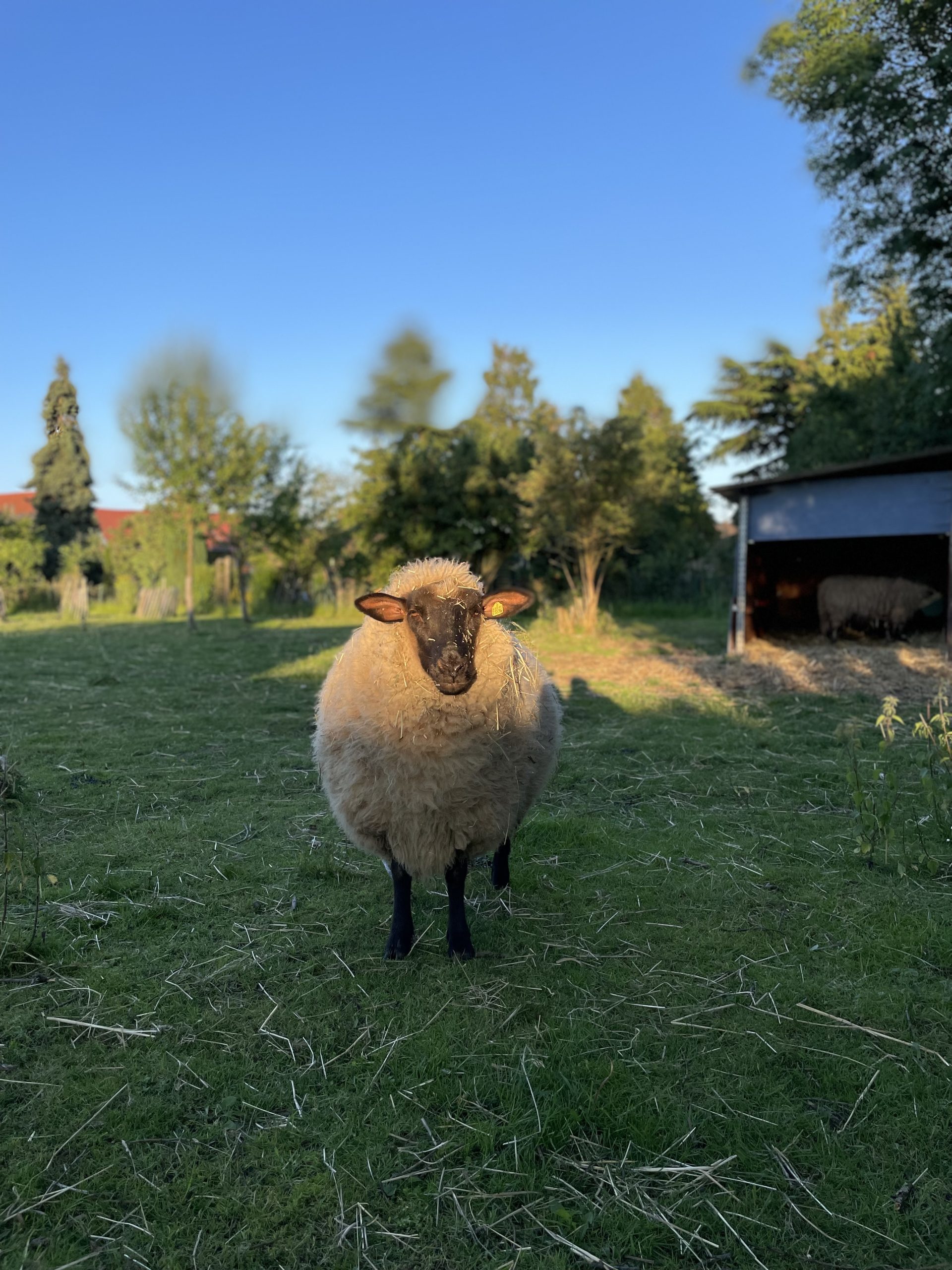 Sensorische Materialien