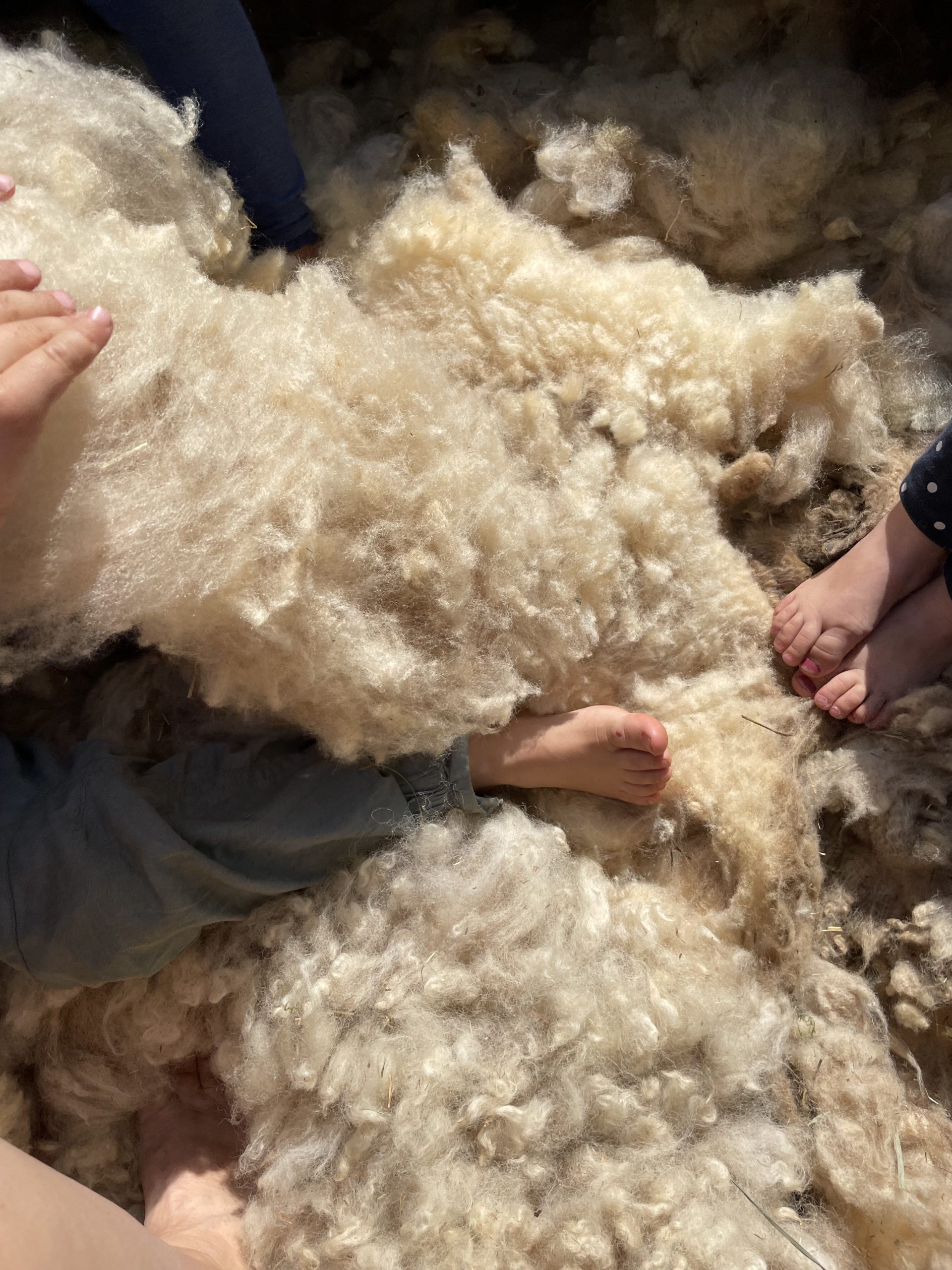 Naturnahe Kursumgebung